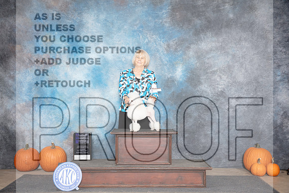 Poodle Toy #18 Sat WB NCH Judge Ray Filburn__JP_8869_Humble_2024_HR3