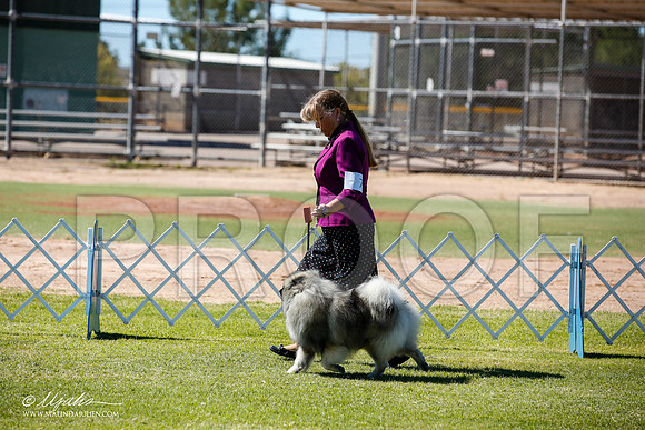 _JN_9128-AlamogordoOct2014-HR3