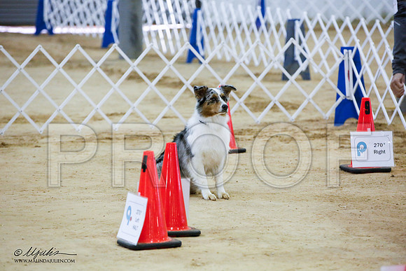 _JJ_5917-ASCACollegeStationNov2014-HR3