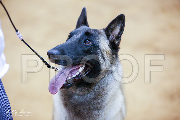 _JJ_6689-GlnRoseJan2015-HR3