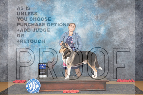 Collie Smooth #5 Sun G1 Judge Beth Dowey__JP_0931_Sulphur Springs_2024_HR3