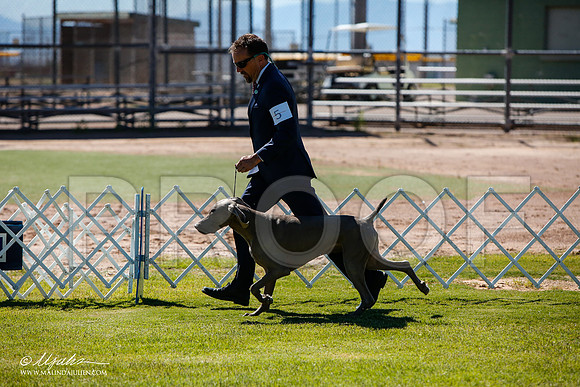 _JJ_5253-AlamogordoOct2014-HR3