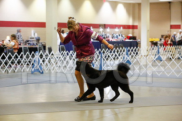_JJ_9699-AmarilloSept2014-HR3