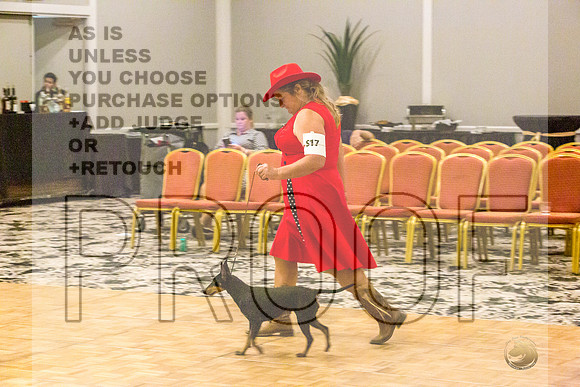 Manchester Terrier MTOY Candids-JJL_2272-Hstn2022_HR3