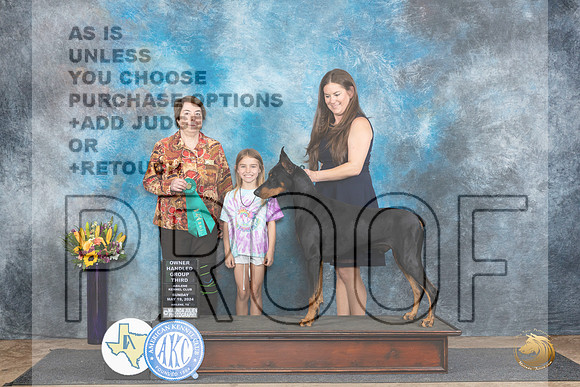 Doberman Pinscher #5 Sun OHG3 Judge Sandra Walker__JP_0094_Abilene_2024_HR3