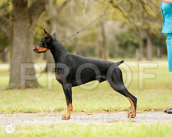 dobe-4661-HstnMar14-HR3