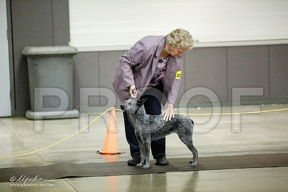 _JJ_6949-BeltonJan2015IABCA-HR3