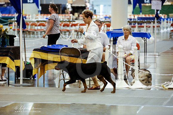 _JJ_9336-HstnJul2014-HR3