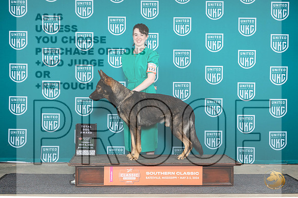 German Shepherd Dog #122 Sun TD__JP_6618_BatesvilleMS_2024_HR3