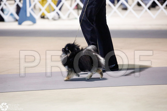 _JJ_4131-SanAntonioJul2014-HR