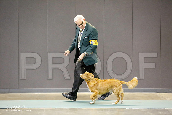 _RH_9618-BeltonJan2015-HR3
