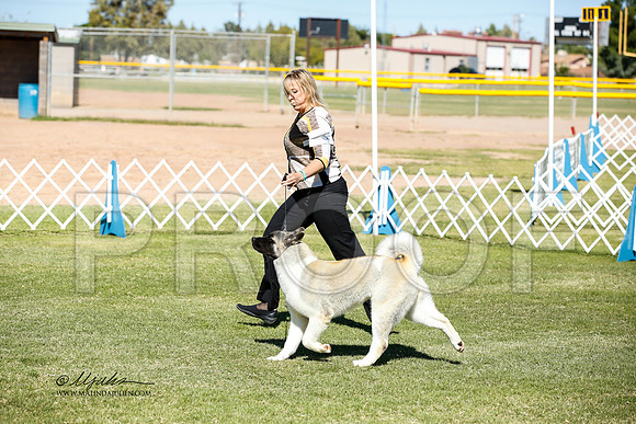 _JN_0650-AlamogordoOct2014-HR3