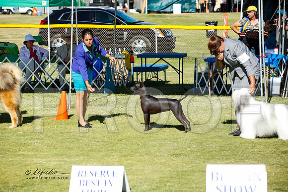 _JN_1620-AlamogordoOct2014-HR3