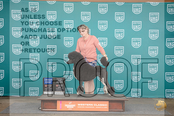 Poodle Standard MC #101 Fri G1 Total Dog Judge Sharon Griffin__JP_1449_Longview WA_2024_HR3