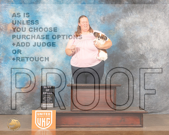 Papillon #141 Sat2 Judge Kevin Izard-CarrollMMJ_6032_Lngvw2022HR3