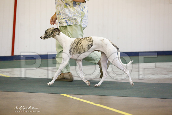 _RH_3555-DntnJun2014-HR3