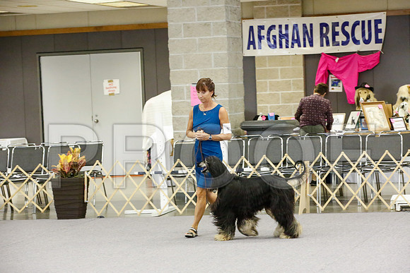 _JJ_2644-AfgNtlBltnOct2014-HR3