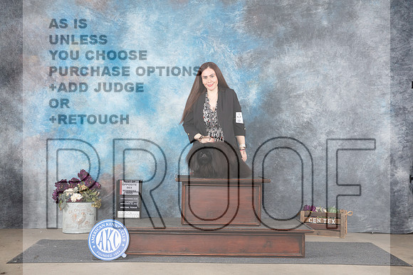 Pekinese #5 Sat BOSWD Judge Donelle Richards__JP_7141_Belton_2024_HR3