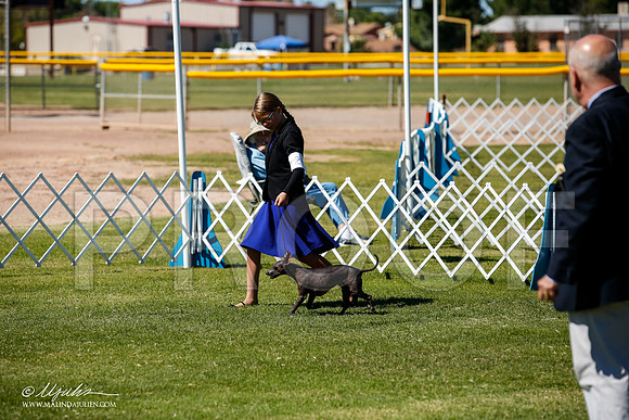 _JJ_8596-AlamogordoOct2014-HR3