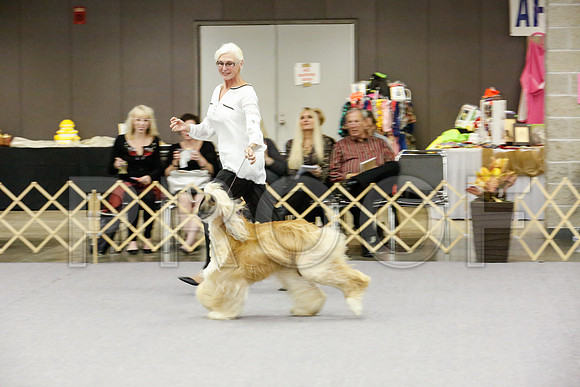 _JJ_8158-AfgBeltonOct2014-HR3