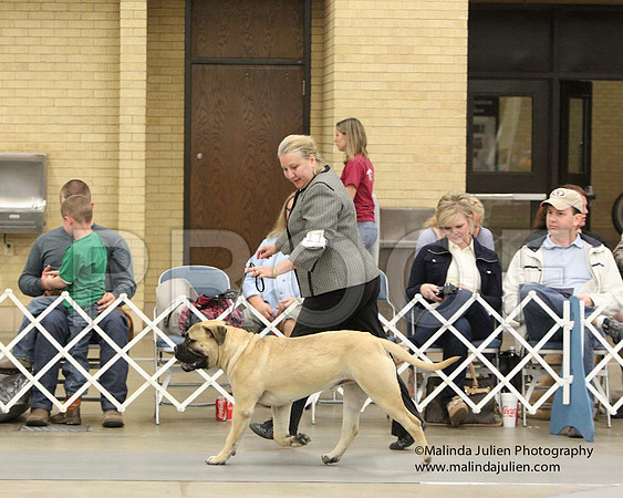 6-9Pup-7858
