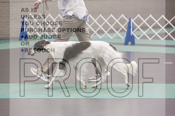Silken Windhound Ring FRi Ring 1_JJL_5218_UKCLNGVIEWOCT2024_2024_HR3