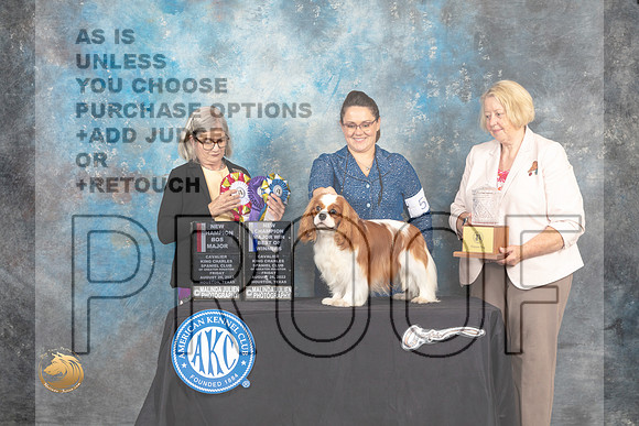 Cavalier King Charles Spaniel #5 Fri2 BOWBOSNCh Judge Carol Pyrkosz_MJ_9861_HstnTOY_2022_HR3