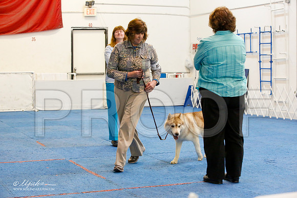 _M3_7555-AddisonHuskyMar2015-HR3