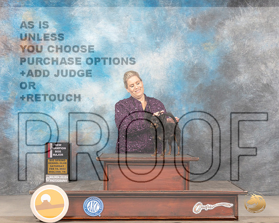 Russian Toy #9 Sat BOSWD Judge Donnelle RichardsMMJ_4478_Mdlnd2022_HR3