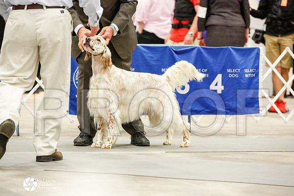 _JN_0840-AblnMay2014-web