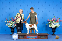 Brittany #6 SUN BOS NGC Judge Annella Cooper