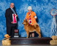 Finnish Spitz #5 Sat G2 Krupski S B krupski M Hall B Richardson Agent Brenda Lee Combs Judge Mr Bill R W Edwards