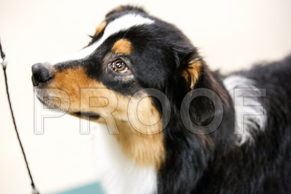 _JJ_7151-ASCACollegeStationNov2014-HR3