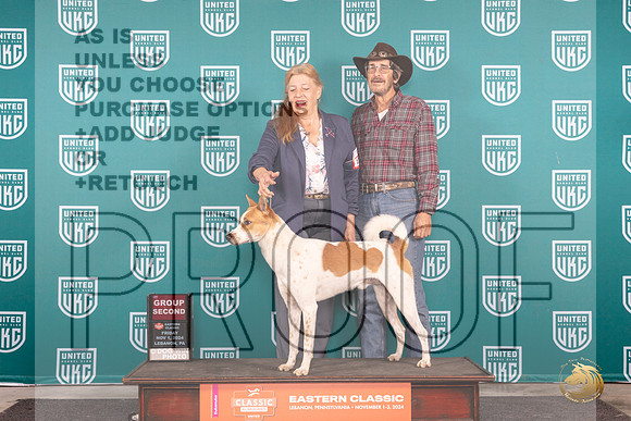 Canaann Dog #115 Fri G2 Judge Kathy Russell __JP_1963_UKCEastern_2024_HR3