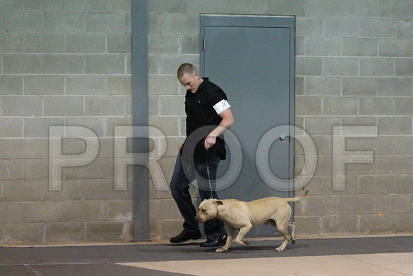 AmerPitCCL_1543LR