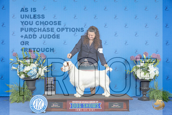 Clumber Spaniel #6 THUR BOB BOW M Judge Ann Yuhasz__JP_8379_Houston_2024_HR3