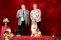 Australian Shepherd Sun S1 G1 Kathi Linn Judge Paul Bruneau
