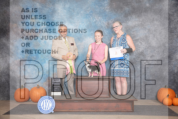 Chiahuahua #J604 Sun BJr Judge Tim Catterson__JP_9482_Humble_2024_HR3