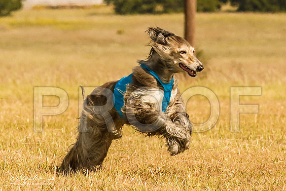 _MJ_4569-AfgBeltonOct2014-HR3