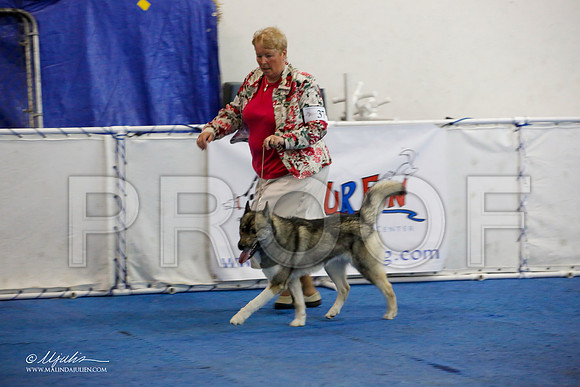 _M3_0187-AddisonHuskyMar2015-HR3