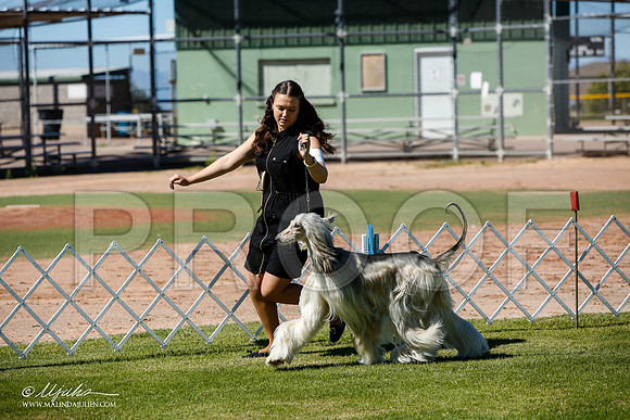 _JJ_4782-AlamogordoOct2014-HR3
