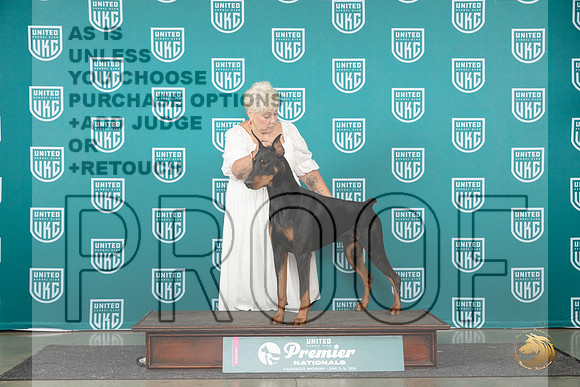 Doberman PInscher #959 Brinkx__JP_2161_Premier_2024_HR3