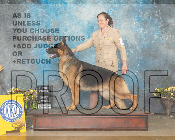 German Shepherd Dog #21 Sun G4 Judge Laurie Telfair-MMJ_1755-NWARK2022-HR3