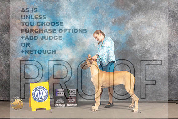Great Dane #10 WED BBB OHBOB WB Major Judge Garry Newton_MJ_2164_Houston_2022_HR3