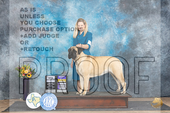 Mastiff #10 Fri WBBOBCH Judge Rick Gschwender__JP_0005_Abilene_2024_HR3