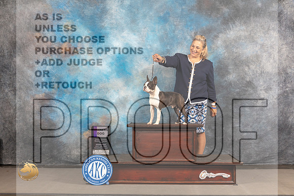 Boston Terrier #? Wed WD Judge Gloria Kerr_MJ_2942_Houston_2022_HR3