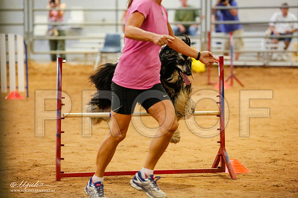 _JN_2959-AfgBeltonOct2014-HR3