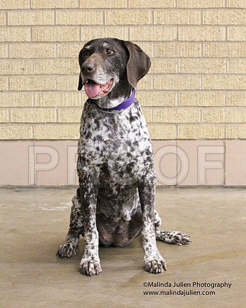 GSP-0173