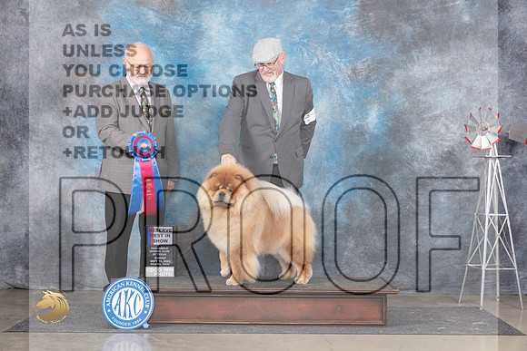 Chow #5 Sun RBIS Judge Gary Andersen__JP_6602_Amarillo_2024_HR3