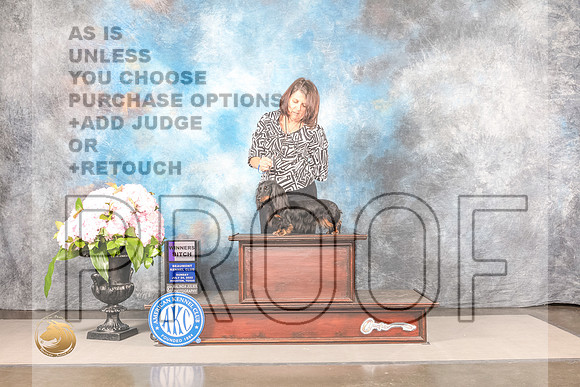 Dachshund Long Haired #18 SUN WB Judge Polly SmithDachshund Long Haired #18 SUN WB Judge Polly Smith_MJ_8201_Houston_2022_HR3_Houston_2022_HR3